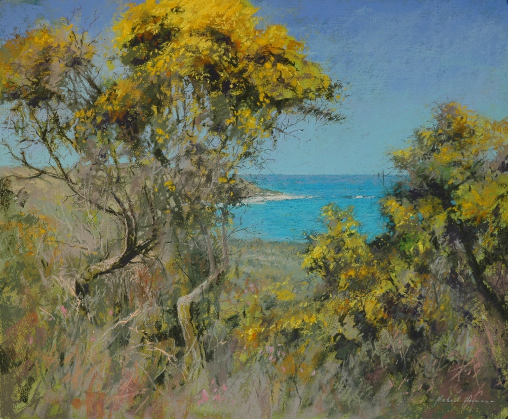 Gorse at Great Bay, St Martins