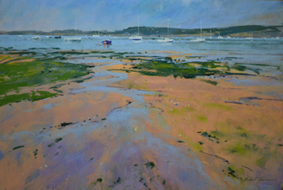 Estuary at low tide