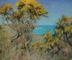 Gorse at Great Bay, St Martins