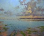 Towards evening, Exe estuary